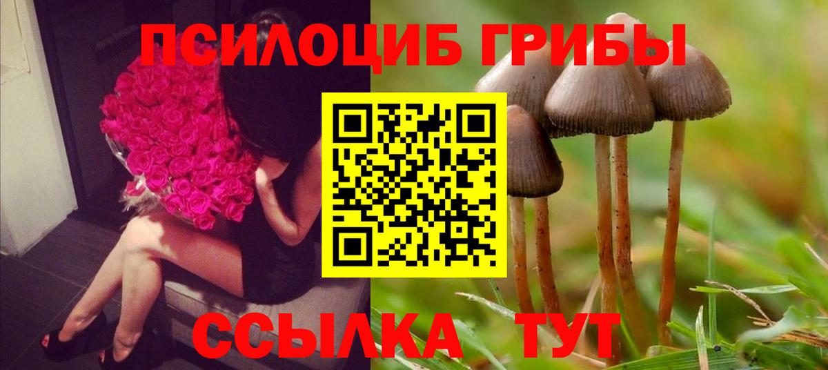 купить   Вход с VPN  Смоленск  Псилоцибиновые грибы мицелий 